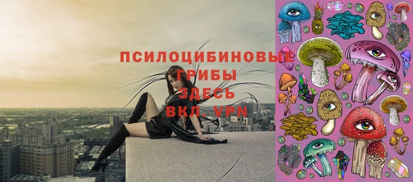 прущие крисы Богданович