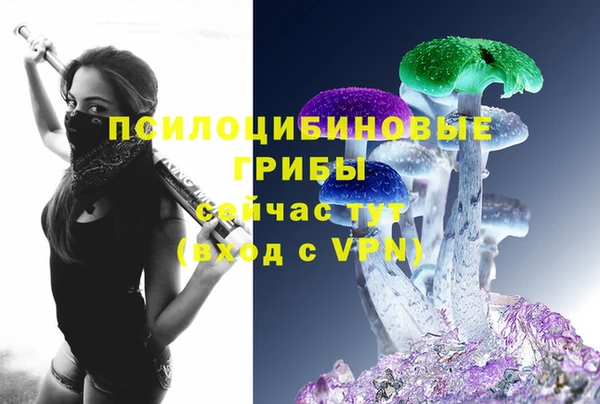 эйфоретик Горняк