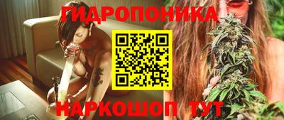 шишки Волжск