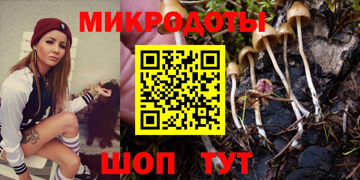 Псилоцибиновые грибы Psilocybine cubensis Горячий Ключ