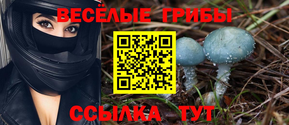 Галлюциногенные грибы GOLDEN TEACHER  Псилоцибиновые грибы GOLDEN TEACHER  Горячий Ключ 