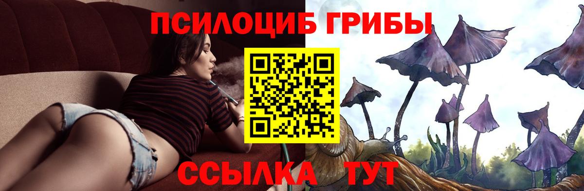 Горячий Ключ  Галлюциногенные грибы Cubensis  закладка  Вход с VPN 